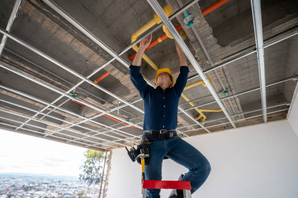 Best Local Plumber Services  in Fayette, AL